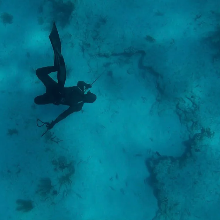 Looking straight down on a lone freediver gliding over reef and pale sand